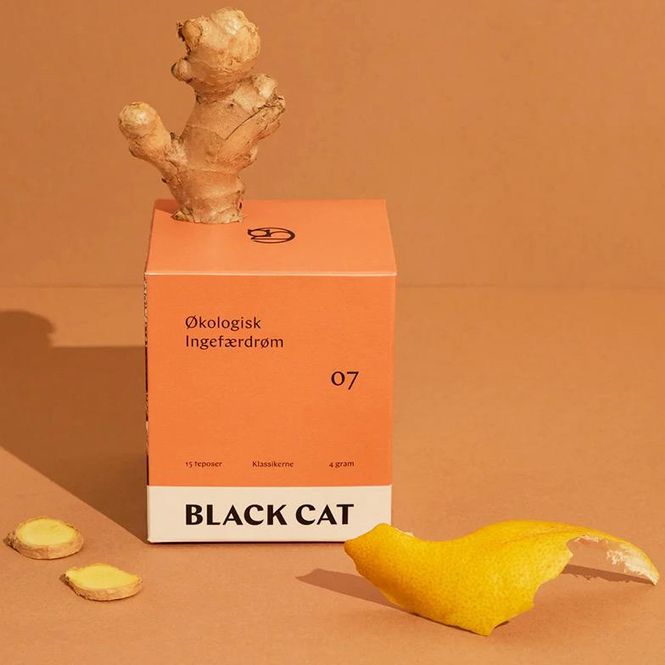 Hovedbilde Økologisk Ingefærdrøm (15pk)